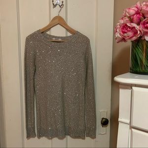 BB Dakota sparkle sweater